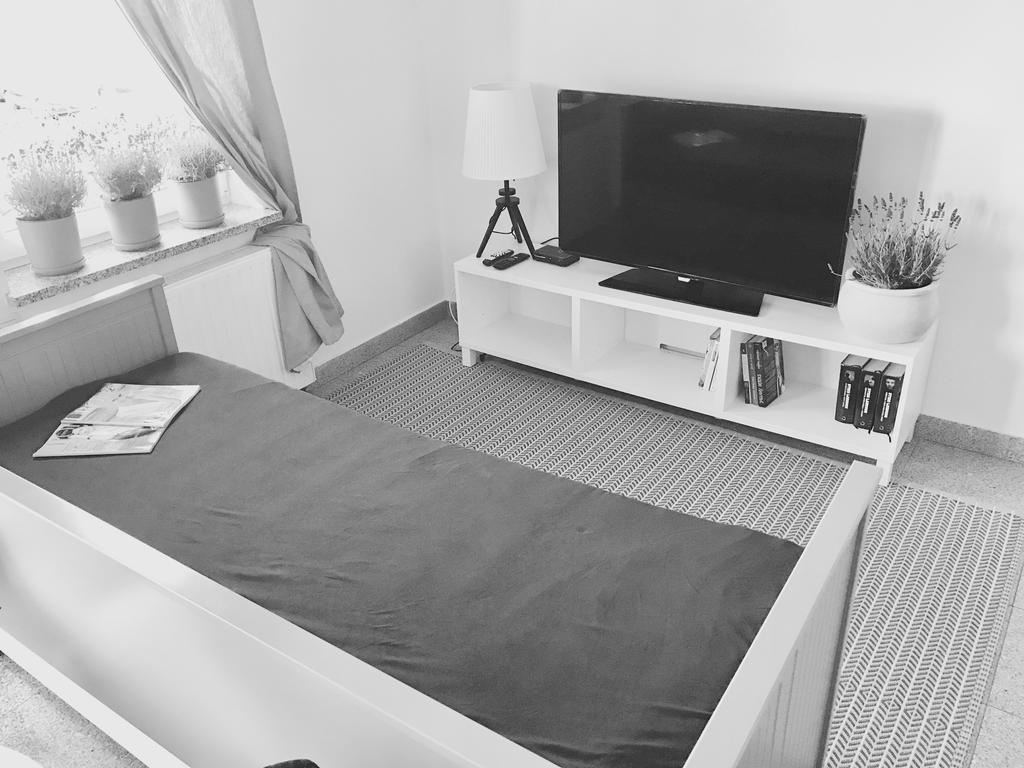 Apartament Lavender Śrem Εξωτερικό φωτογραφία